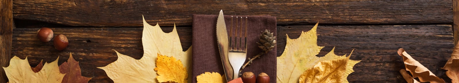 Thanksgiving Events Boston